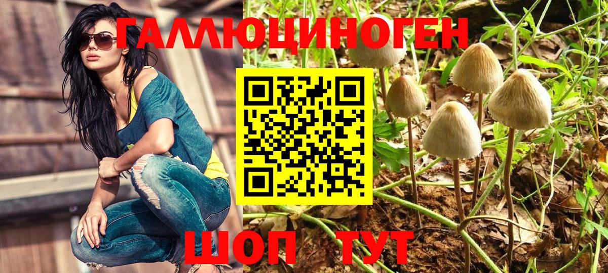 Псилоцибиновые грибы Cubensis Асбест