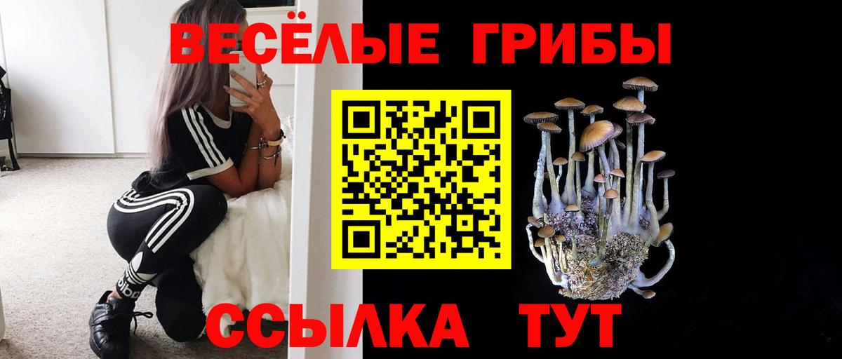 Псилоцибиновые грибы GOLDEN TEACHER  Галлюциногенные грибы Psilocybine cubensis  Асбест  Вход с VPN 
